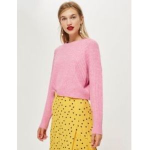 Petite Topshop Striped Cropped Pink Sweater